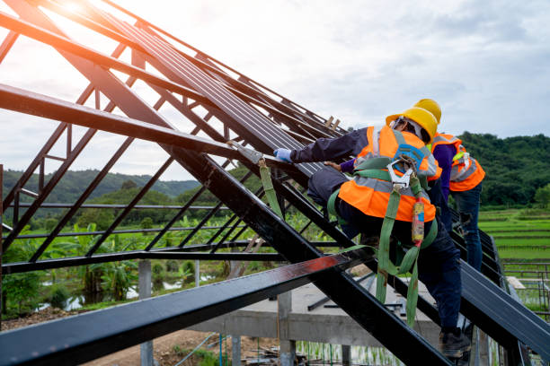 Best New Roof Installation  in Springfield, MN