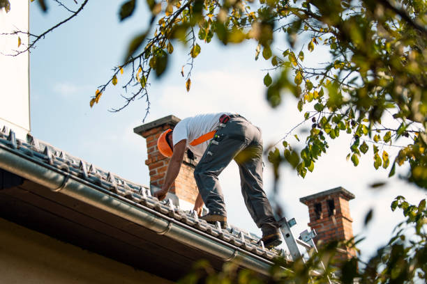 Best Roof Waterproofing Services  in Springfield, MN