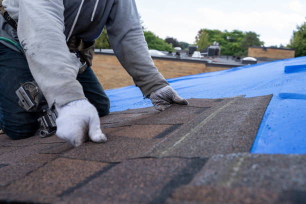 Quick and Trustworthy Emergency Roof Repair Services in Springfield, MN