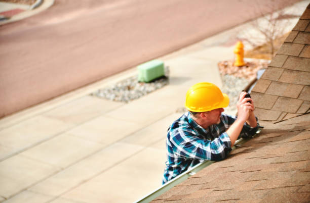 Best Flat Roof Repair Services  in Springfield, MN