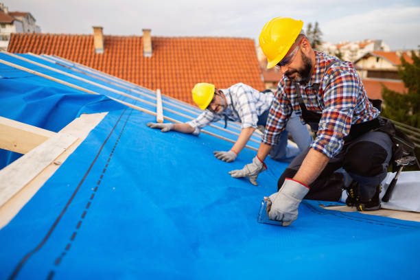 Best Local Roofing Companies  in Springfield, MN