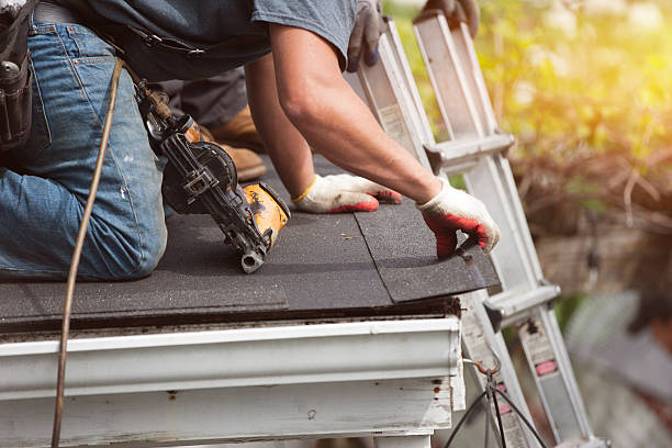 Best Best Roofing Contractors  in Springfield, MN