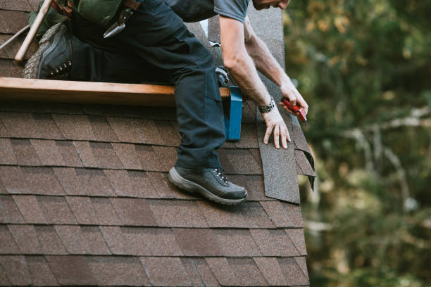 Best Flat Roof Repair Services  in Springfield, MN