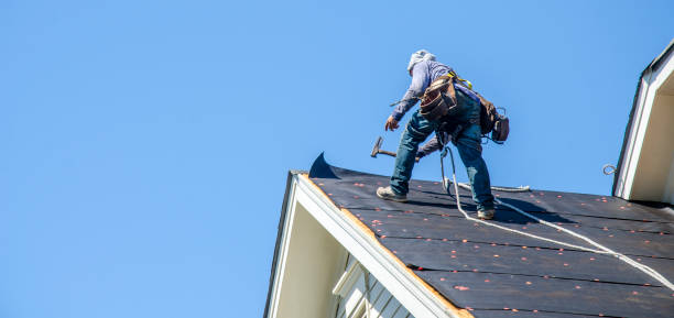 Roof Gutter Cleaning in Springfield, MN